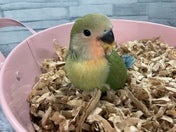 2025/05/12撮影！