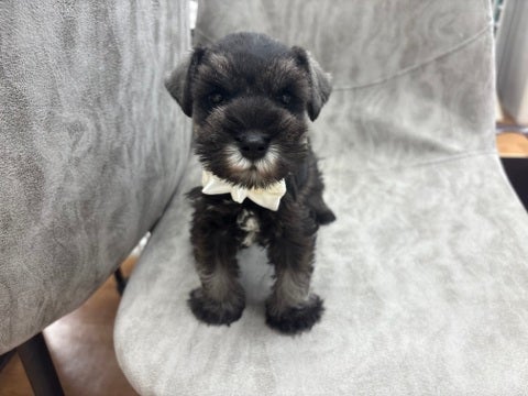 2025.05.12撮影　とってもマイペース🐶