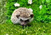 ☆5月13日撮影☆