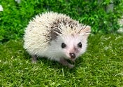 ☆5月13日撮影☆