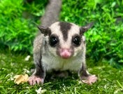 ☆5月13日撮影☆