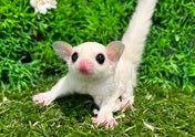 ☆5月13日撮影☆