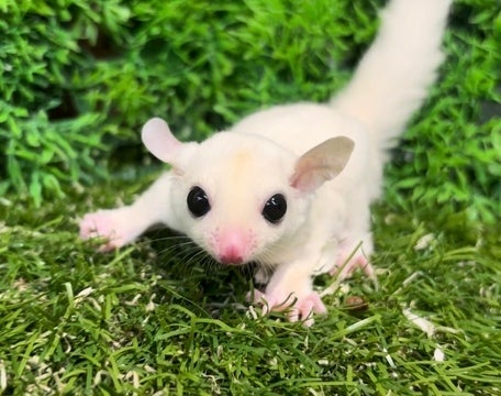 ☆5月13日撮影☆