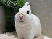 5/13撮影📸　かわいいおにぎり顔🍙