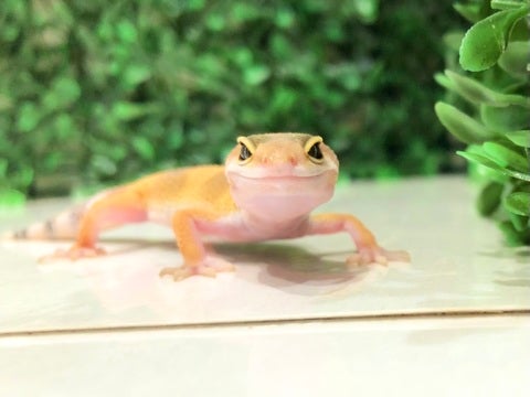 ☺️