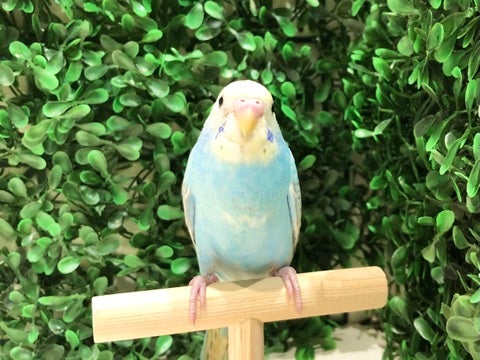 もちもちです🥰