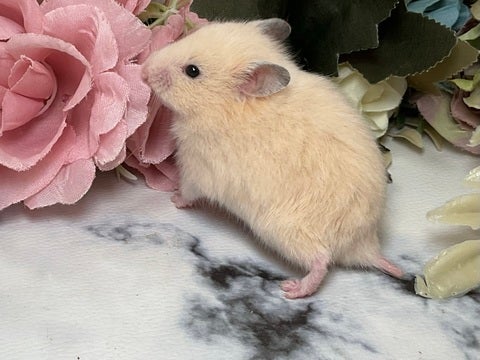 5/14撮影📸