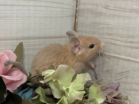 5/14撮影📸
