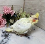 5/14撮影📸