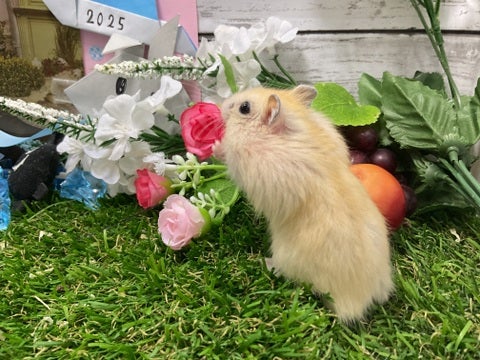 体も食欲も成長してます🌱✨🫧2025年5月14日撮影📸