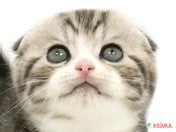 まん丸顔の男のこ💕