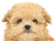 827449_ext_33_0_L.jpg