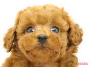 827577_ext_33_0_L.jpg