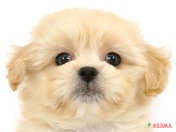 827494_ext_33_0_L.jpg