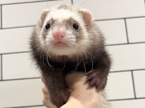 5月15日撮影