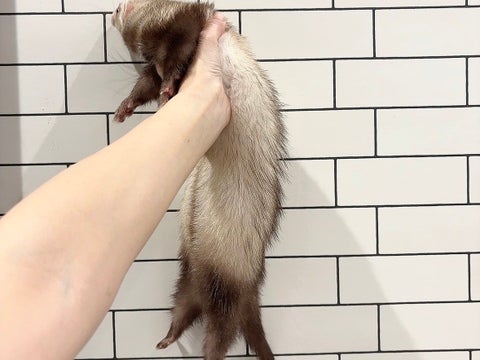 全身です❣️ぜひ会いに来てください🎶