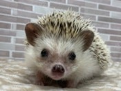 顔見せてくれます😊