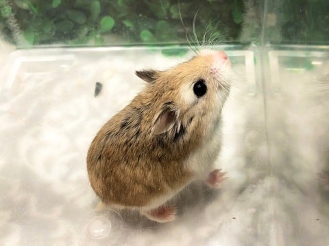 きゅるきゅるなお顔❤️