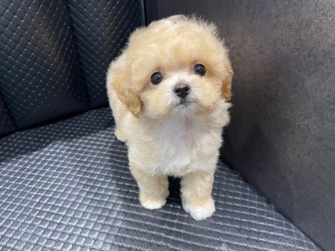 5/15撮影♬ 会いに来てね🐾