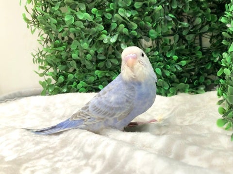 カメラ目線📷👀