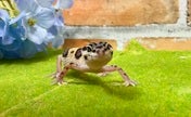 撮影日：2025年5月12日