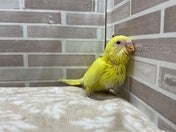 壁に寄りかかって休憩中😌