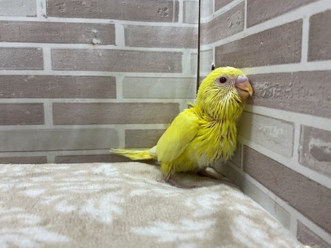 壁に寄りかかって休憩中😌