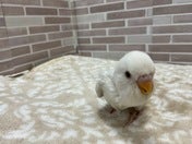 何してるの～❓