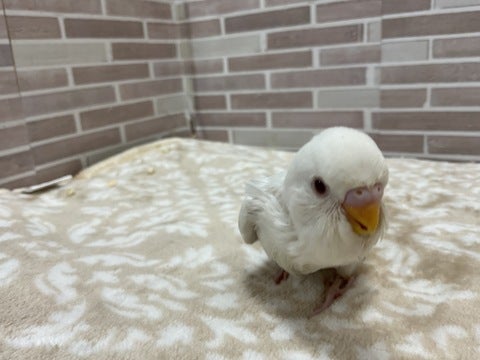 何してるの～❓