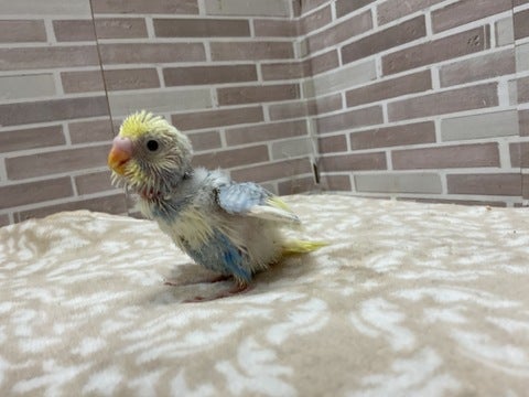 横顔も可愛い💕