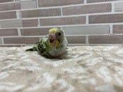休憩中😮‍💨
