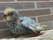眠そうだね💤