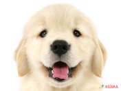 828210_ext_33_0_L.jpg