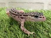 5月15日撮影♪