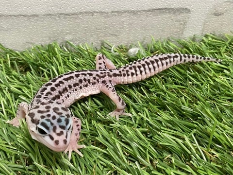 5月15日撮影♪