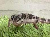 5月15日撮影♪