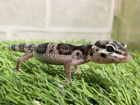 5月15日撮影♪