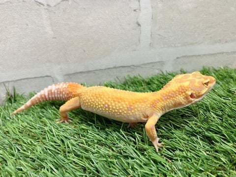 5/8撮影🌟
