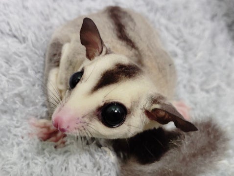 5月6日撮影♪