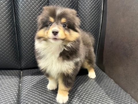5/17撮影♬　会いに来てね🐾