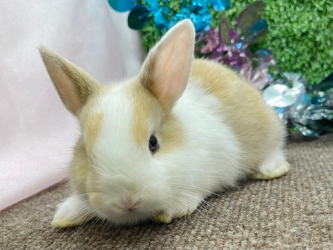 2025.5.17に撮影しました！